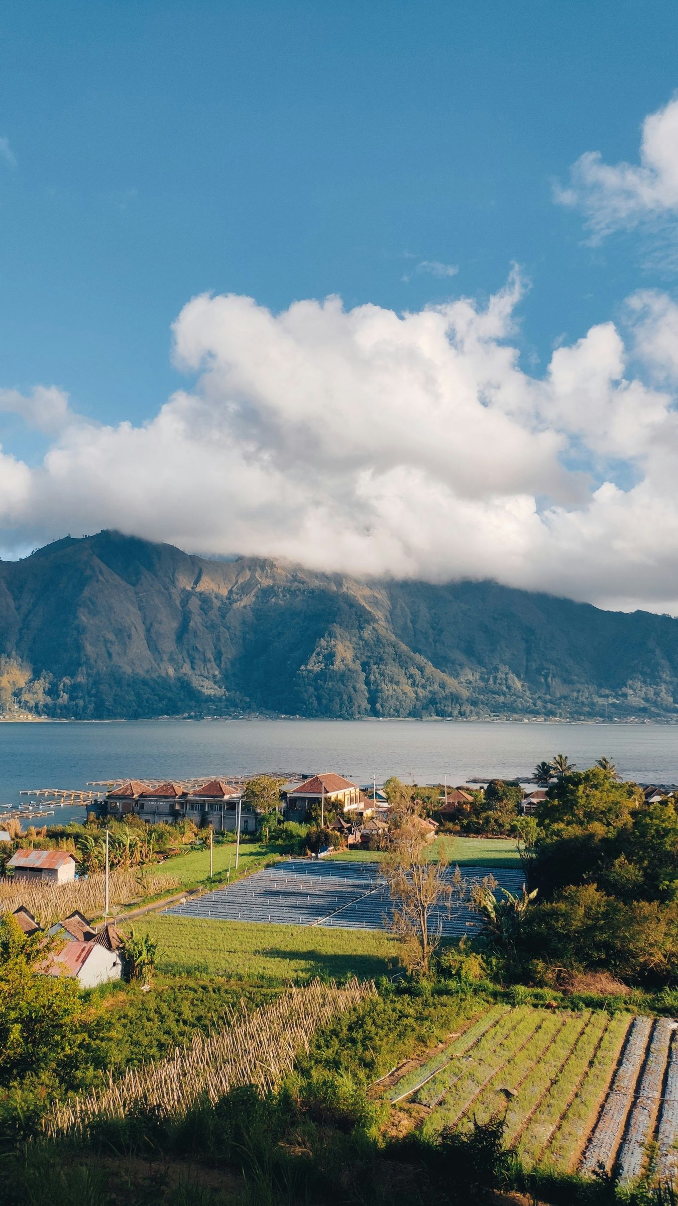 Bali cultural landscape